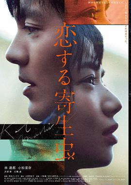 高分影视